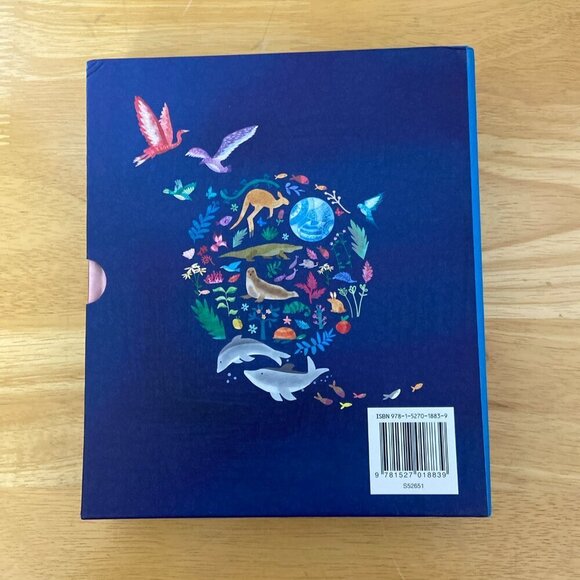 A Collection of Bible Stories 4 Books Illustrated HB Slipcase Creation Noah etc - Picture 2 of 14